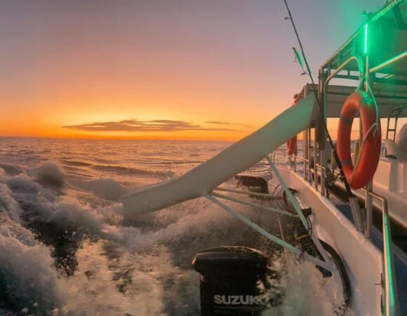 IMG 20230327 WA0044 580x450