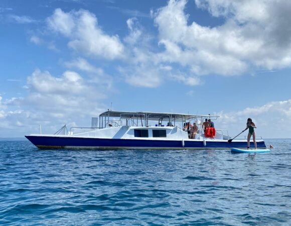 IMG 20230327 WA0078 580x450