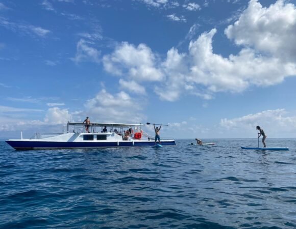 IMG 20230327 WA0134 580x450