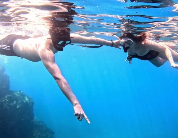 IMG 20241124 WA0023 580x450