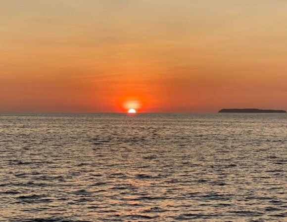 WhatsApp Bild 2023 04 10 Um 20.20.10 580x450