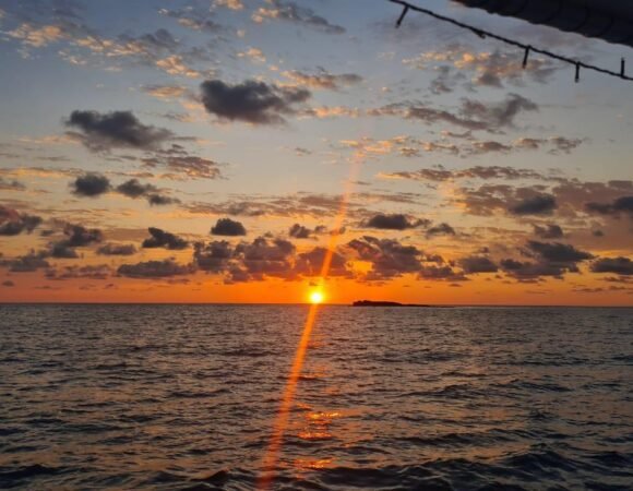 WhatsApp Image 2025 10 02 At 5.43.33 PM 1 580x450